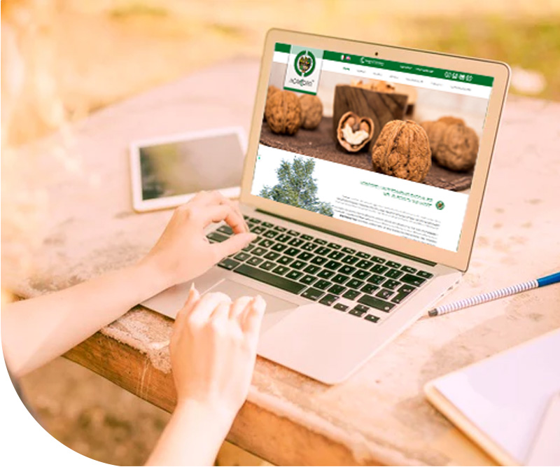 sito web agricorti